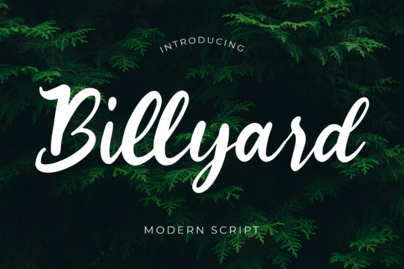 Discover Billyard: A Handwritten Font for Modern Web Design