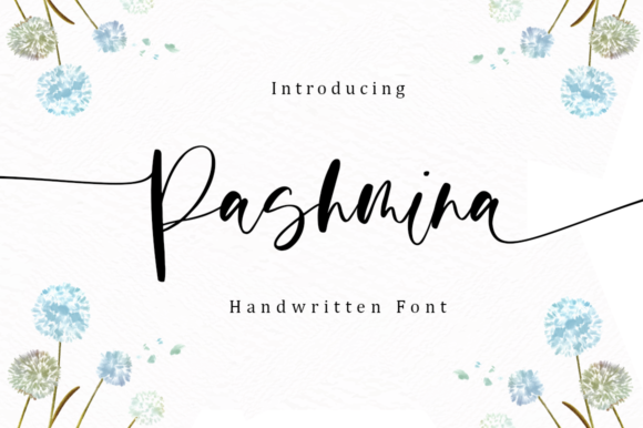 Discovering Pashmina: A Handwritten Font for Editorial Elegance