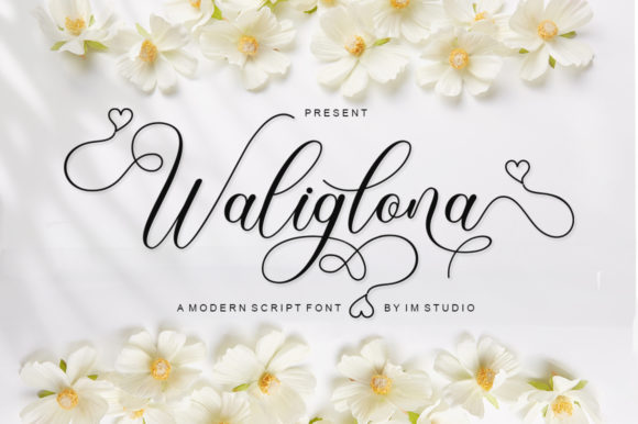 Elevate Your Web Design with Waliglona Font