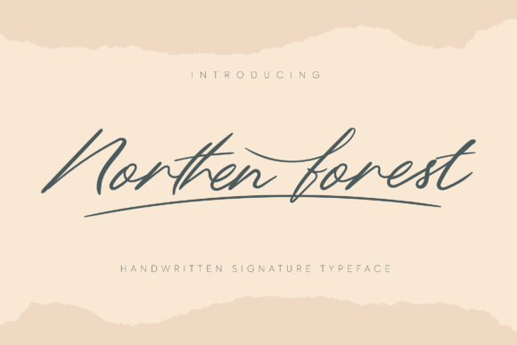 Enhance Your Campaigns with Northern Forest Font