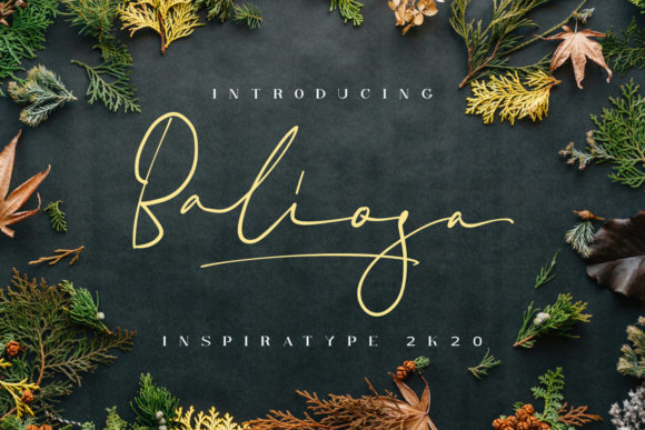 Enhancing Web Design with Baliosa: A Handwritten Font