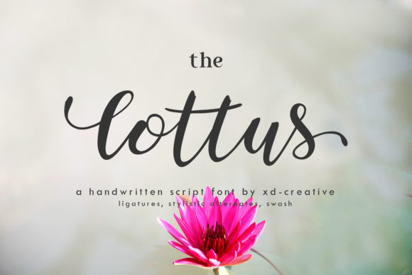The Lottus: A Script Font with Character